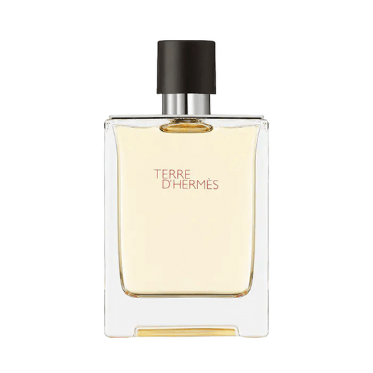 Hermès Terre d'